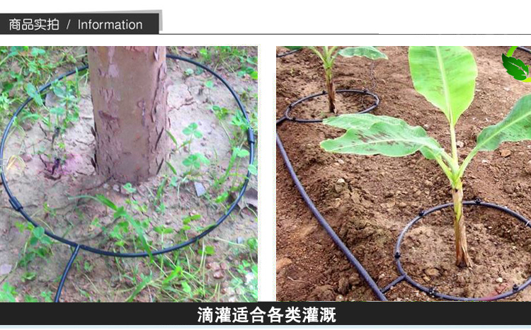 弘晨(hc 弘晨分流管 滴灌管滴灌带 涌泉灌溉 果树自动滴灌 节水园艺