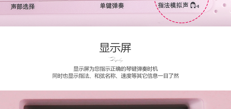 CASIO卡西欧电子琴 61键成人儿童初学启蒙电子琴仿钢琴键 发光教学 LK247主机LK247图片