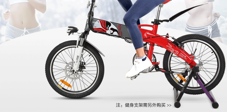 台铃新款电动车锂电池电动自行车 电单车助力车 智能折叠车小雄鹰4g图片