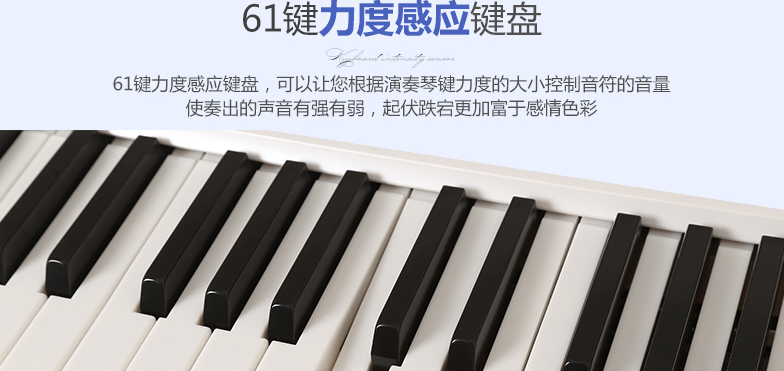 CASIO卡西欧LK125电子琴61键发光键 LK125图片