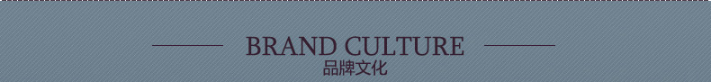 Sleep Science美国斯利普记忆棉床垫 单双人床垫 学生床垫床褥子 床垫罩 床垫套 淡蓝优雅 150*200*5CM