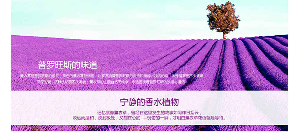 
                                        织巢鸟5D钻石画方钻满钻爱情海薰衣草风景系列大画十字绣3D客厅新款花卉圆钻水晶钻石绣贴钻画 方钻满钻 150*70cm                