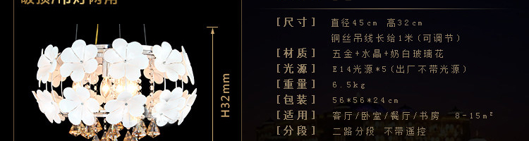 帝帛灯饰 欧式LED水晶吊灯客厅灯现代简约客厅水晶灯卧室灯灯具餐厅灯饰 DB8707LED贴片白光 600*320mm