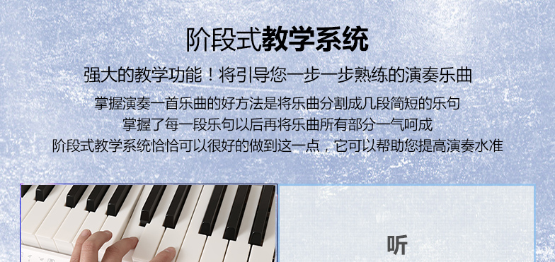 CASIO卡西欧电子琴 61键成人儿童初学启蒙电子琴仿钢琴键 发光教学 LK247主机LK247图片