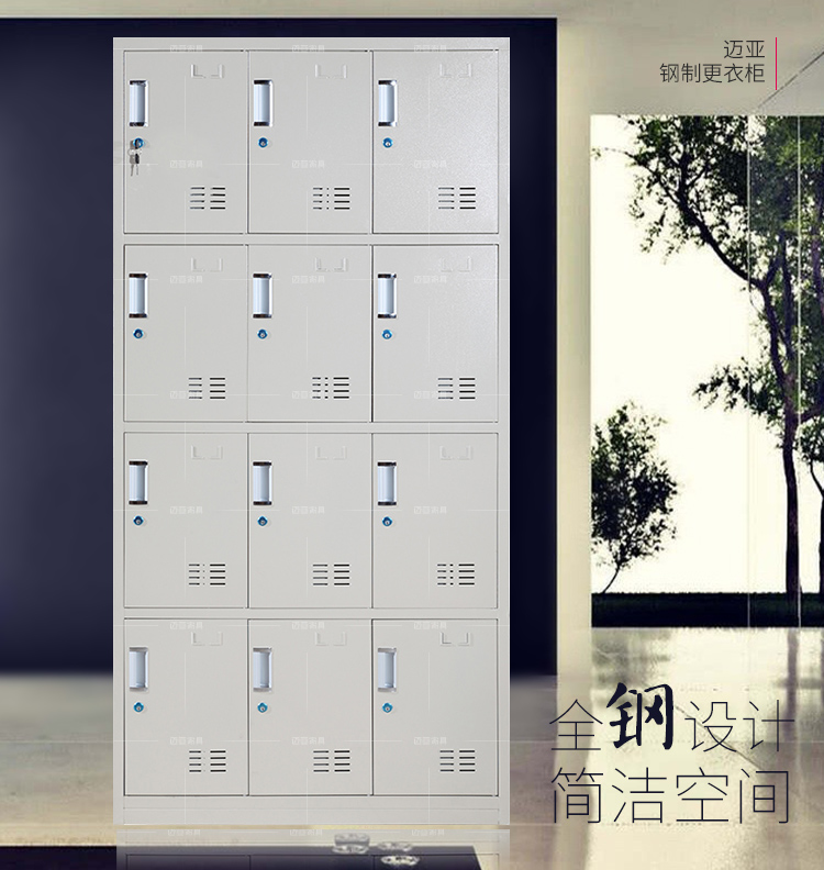 迈亚办公家具12门铁皮柜更衣柜办公柜员工柜带锁储存物柜寄存柜换衣柜 标准型