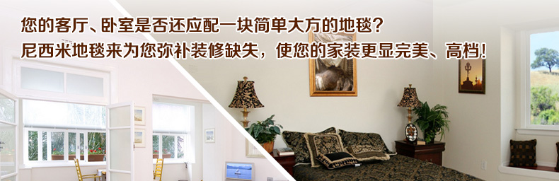 尼西米加密地毯 多种图案客厅地毯 现代简欧地毯 沙发茶几垫 高档奢华地毯 加厚七彩棉地毯 大C调 2*2.9m