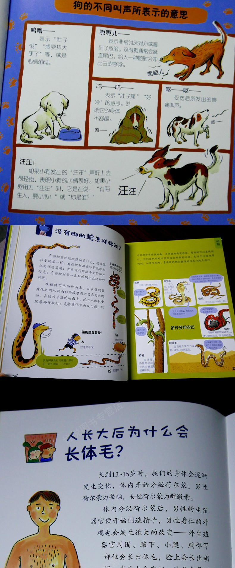儿童好奇心大百科 动物 人体 生活 自然科普知识 绘制大量的图画来