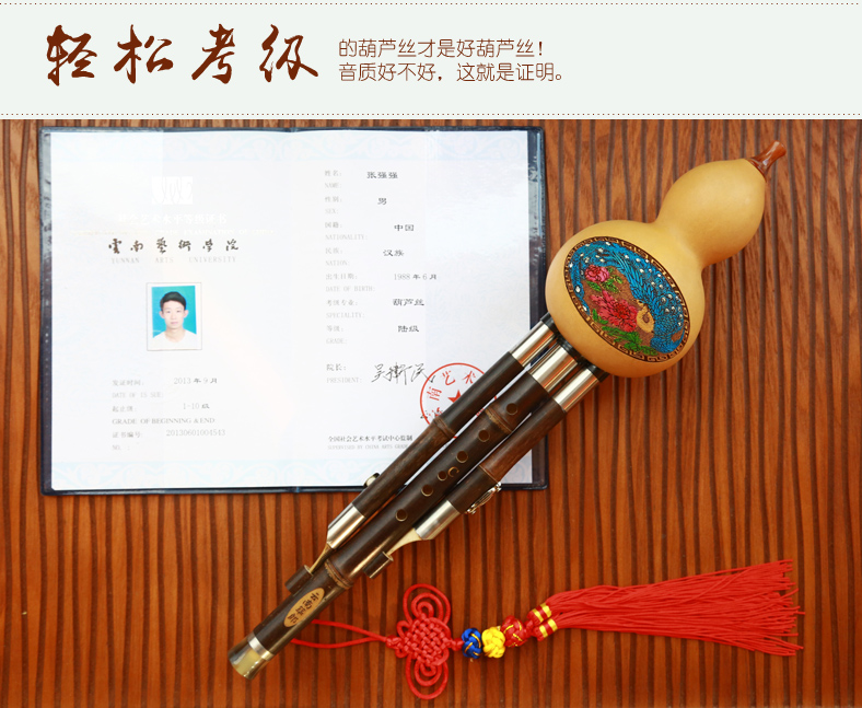 注册葫芦丝店的名字