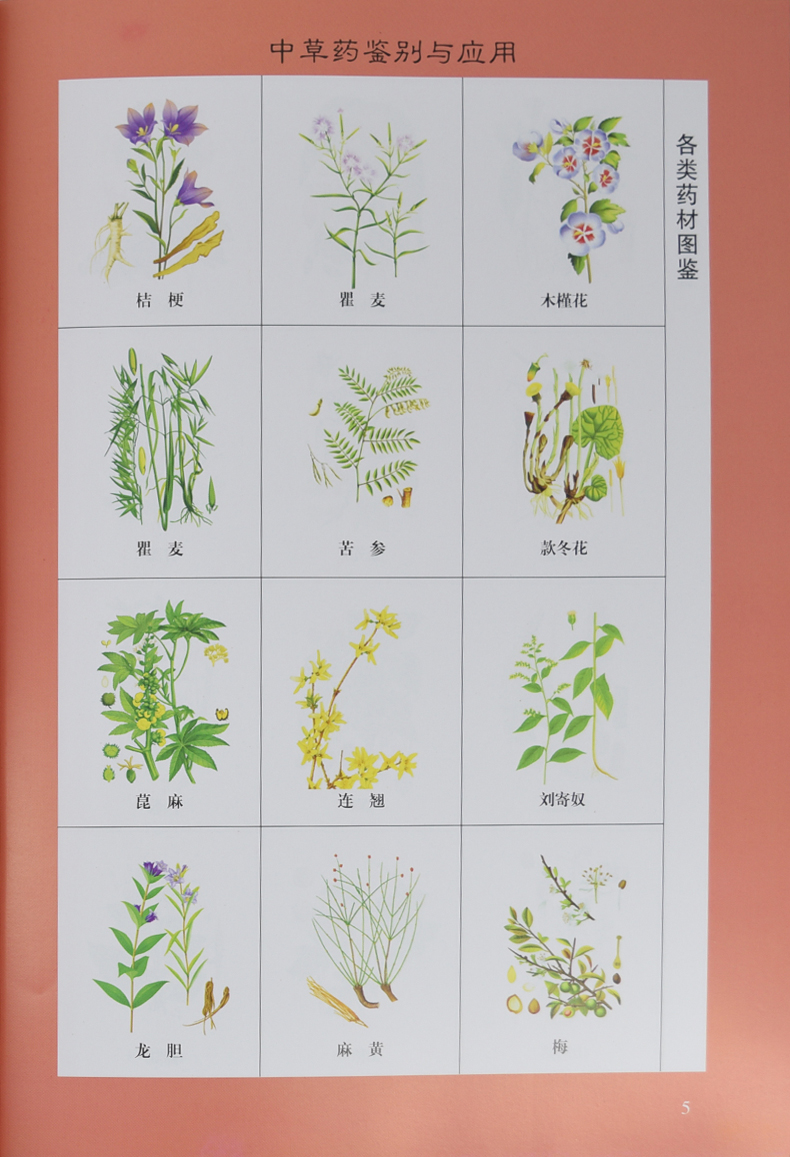 张爱卿 中草药知识 中药养生 家庭医生 中药材饮片鉴别与应用图谱