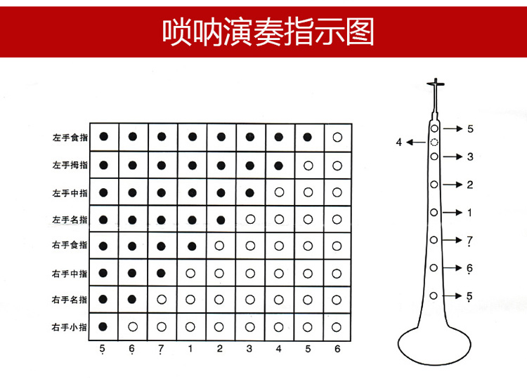 相思鸟(lovebird)唢呐 d调黑檀乌木唢呐 初学练习演奏 送芦苇哨片 xs