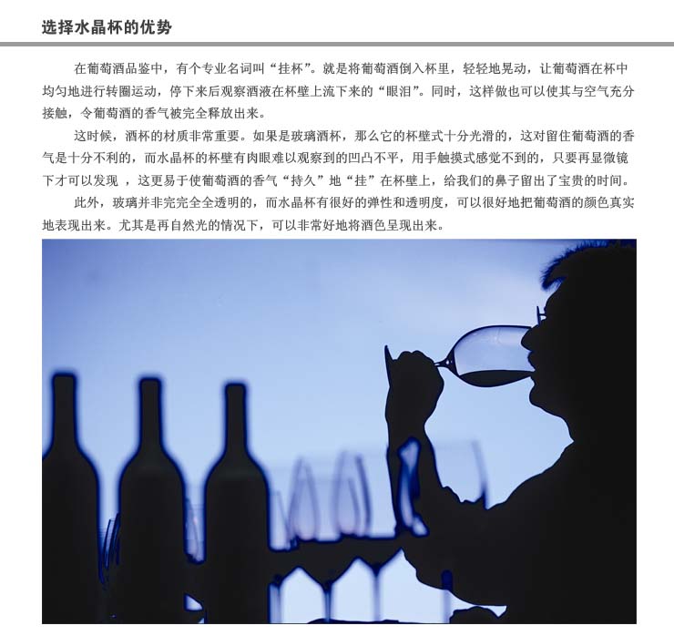 包邮德国进口肖特SCHOTT水晶波尔多红酒杯高脚杯套装送竖琴U型醒酒器礼品彩盒装斜口壶红酒 2个波尔多633ML送U型壶3件套