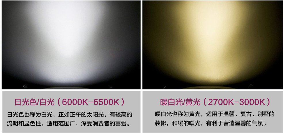 沪字牌led筒灯3寸5W天花灯黄光