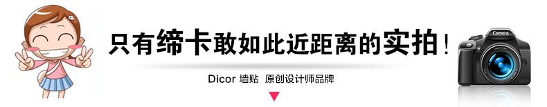 缔卡 百合花 可移除走廊墙贴客厅电视背景墙墙壁贴纸卧室温馨墙面贴画 多款可选 真正可移除 图片色