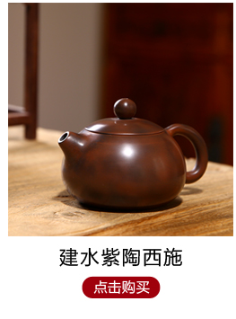 此时此刻 杨春丽大师云南建水紫陶茶壶 彩填美