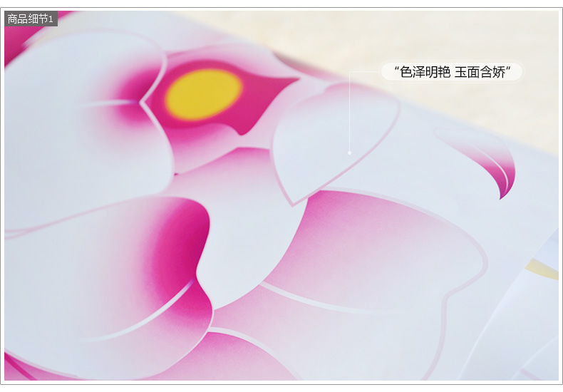 
                                        蝶恋大型卧室墙贴纸客厅沙发背景墙贴画温馨墙壁贴纸可移除贴画 蝶恋 超大 （建议贴出尺寸2.5m宽*1.2m高）                