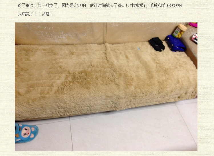 
                                        小家子冬季加厚北欧宜家风格长毛绒沙发垫实木真皮布艺沙发巾罩套坐垫可定制 长毛绒米白 70cm*70cm做靠背扶手                