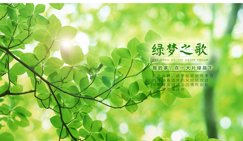 缔卡 绿梦之歌 客厅电视沙发背景墙可移除墙贴贴画 卧室墙壁装饰贴纸 贴好后约宽3米X高1米 大