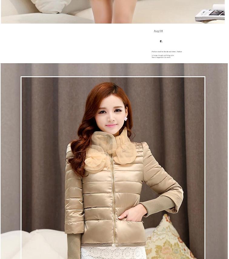 初闻兮 短外套女 2014冬季新款韩版淑女棉衣花朵欧根纱棉服小棉袄加厚棉衣短外套女 百搭黑 M