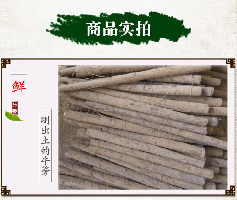 徐州新鲜牛蒡 现挖根 牛蒡 茶原料 5斤装_ 5折现价徐州新鲜牛蒡 现挖