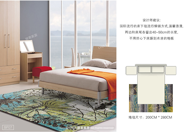 丽家家居 简约时尚地毯 客厅卧室门厅防滑地垫 BF03 800MM*1200MM