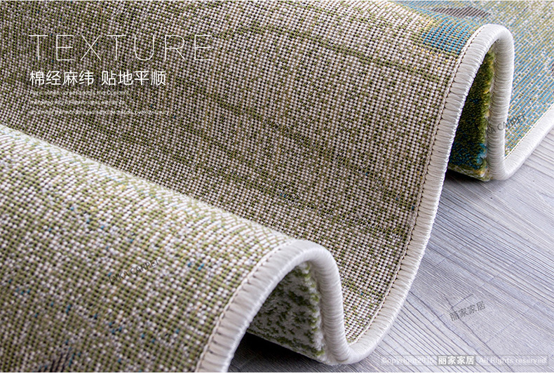 丽家家居 简约时尚地毯 客厅卧室门厅防滑地垫 BF03 800MM*1200MM