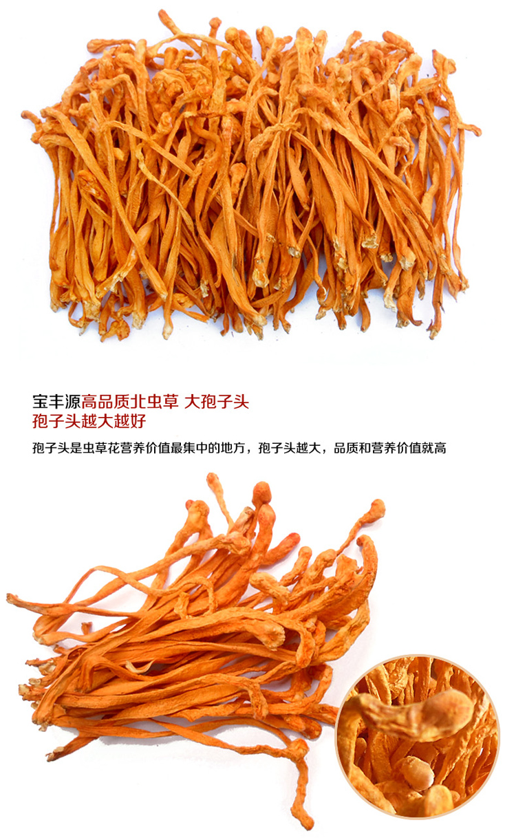宝丰源 虫草花 孢子头北虫草金虫草蛹虫草花 正品 100