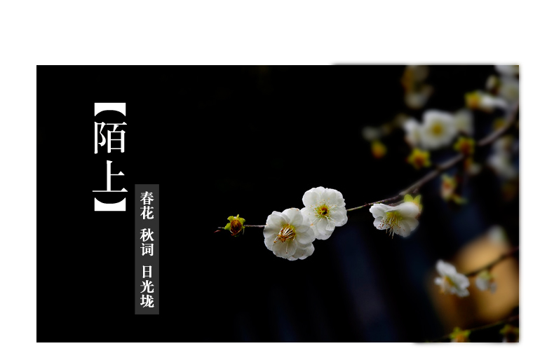 乐蓝手工朵花刺绣蕾丝双层太阳伞 女士 折叠防紫外线遮阳伞 超防晒晴雨伞二折|陌上17 米色蕾丝