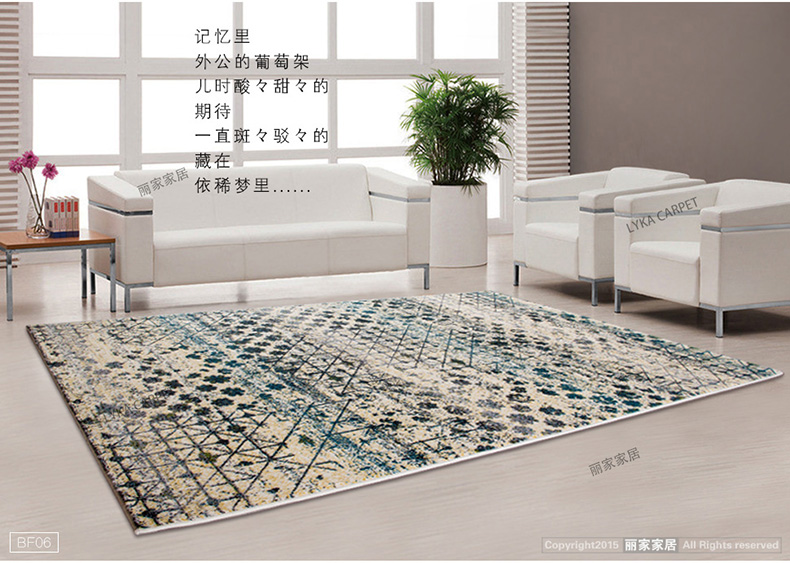 丽家家居 简约时尚地毯 客厅卧室门厅防滑地垫 BF03 800MM*1200MM