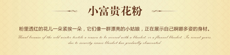 merrylife 毛毯双层毯子法兰绒毯加厚仿拉舍尔绒毯盖毯被子超柔秋冬毯 条纹花 140X200cm
