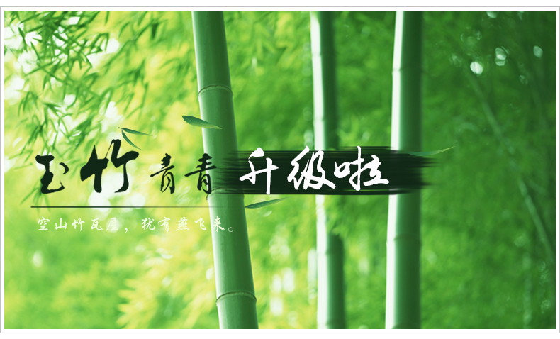 缔卡 玉竹青青 大型中式墙贴纸客厅电视书房背景贴画卧室背景墙壁贴纸 可移除 大(2.1m宽*1.5m高)