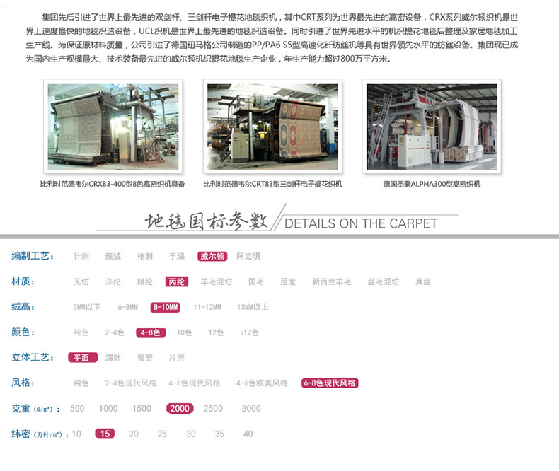 丽家家居 简约时尚地毯 客厅卧室门厅防滑地垫 BF03 800MM*1200MM