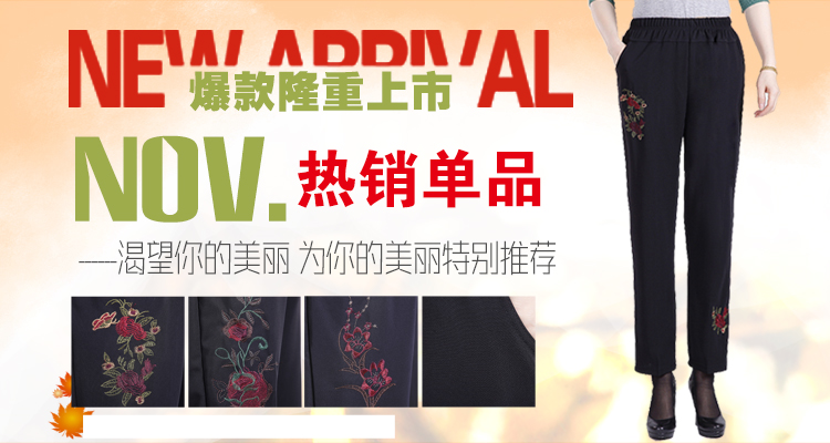 蓝枝雪春秋装中老年妈妈装绣花薄款休闲长裤 松紧腰直筒裤宽松西裤春秋款 4号色 XL