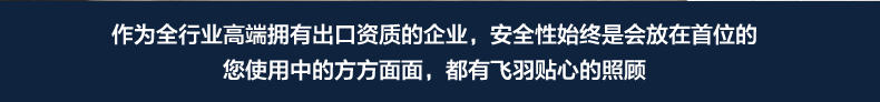 
                                        飞羽 FY-10BX2X-30 水龙头 即热式电热水龙头 快速加热速热厨房浴室两用龙头 大弯下进水10E-4                