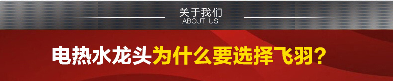 
                                        飞羽 FY-10BX2X-30 水龙头 即热式电热水龙头 快速加热速热厨房浴室两用龙头 大弯下进水10E-4                