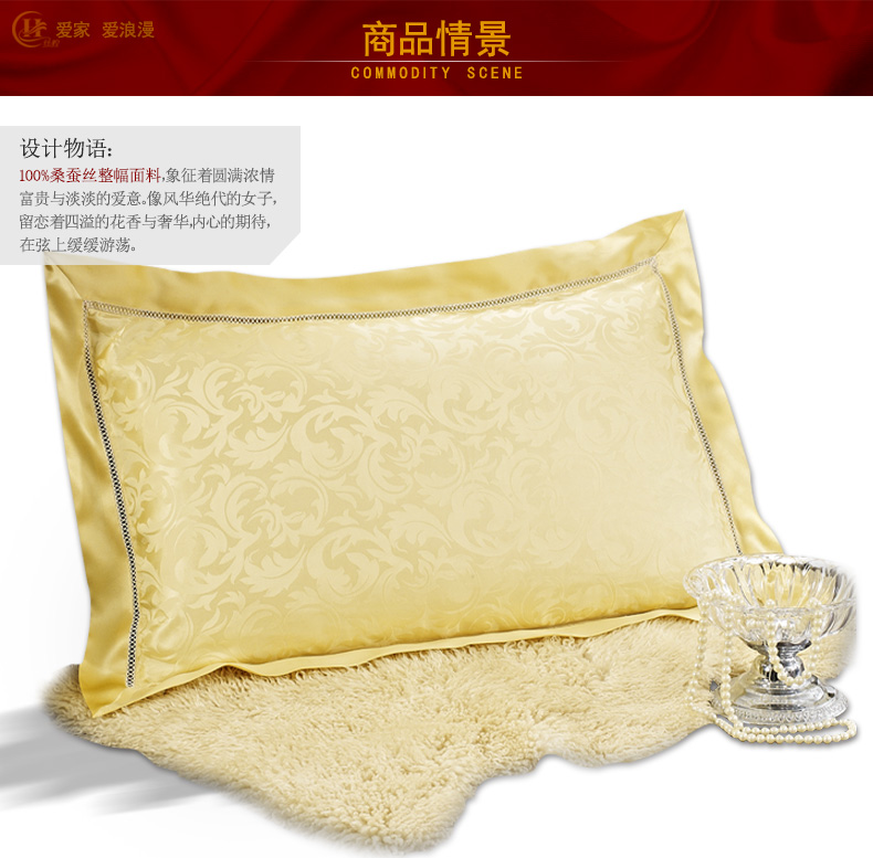 
                                                            丝煌提花真丝枕套100%桑蚕丝19姆米加厚枕头套单人 引领时尚白1489 一只48x74cm                