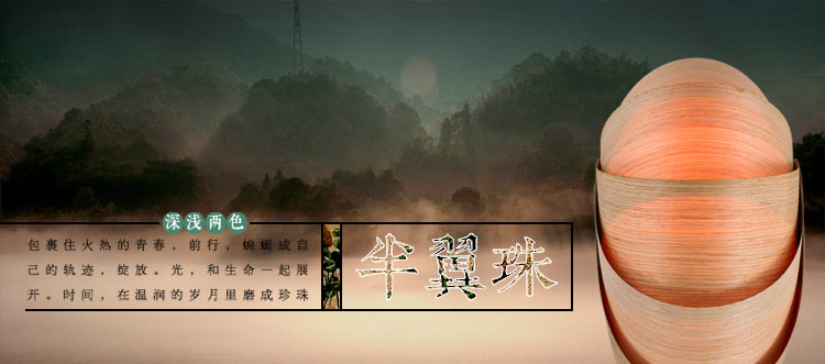 比月照明 东南亚卧室客厅酒店灯饰现代简约创意个性过道木皮壁灯3375 深色橡木