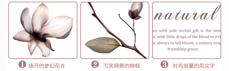 
                                        其乐  时尚客厅电视背景墙可移除墙贴纸 浪漫卧室温馨花卉贴画 玉兰花                