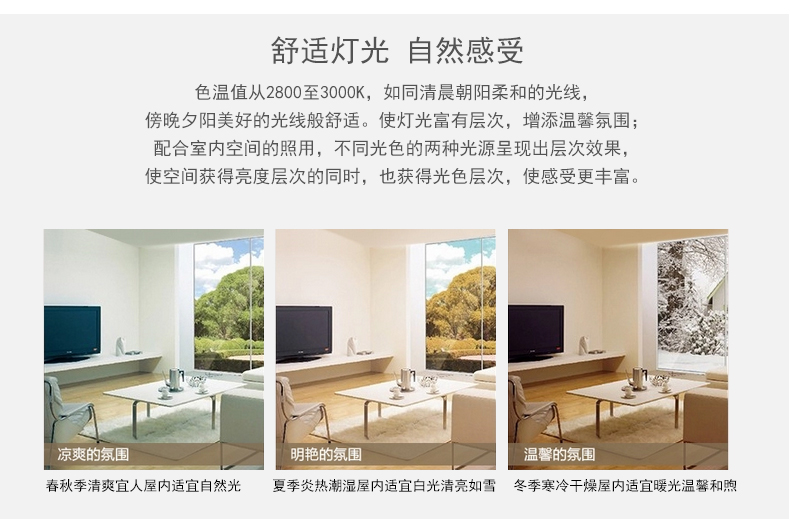 
                                                            莱维（lionway） LED吸顶灯改造灯板led灯板长条灯泡吸顶灯节能灯改造led灯板 10瓦/方形 正白                
