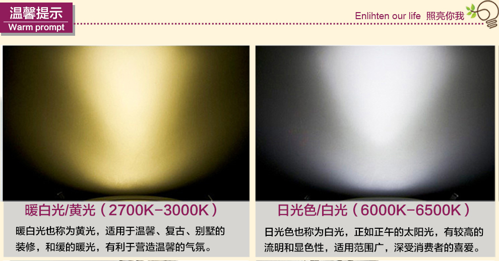 沪字牌led灯泡e27灯泡螺口节能灯灯具E27大口LED球泡 3W E27 白光