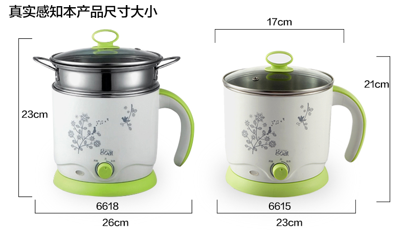 哥尔多功能电热锅 电煮锅电热杯 迷你小电锅学生煮面锅家用电火锅 绿色(单层)