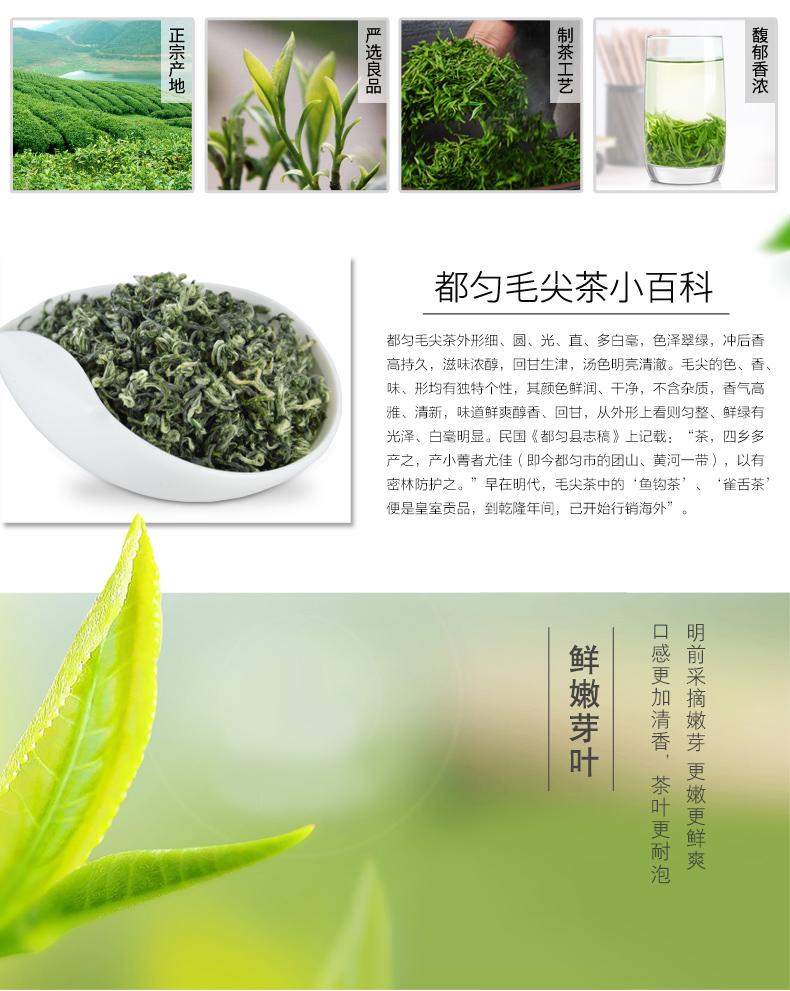 2018新茶贵州明前特级正宗都匀毛尖雀舌翠芽茶叶绿茶高山云雾日照散装