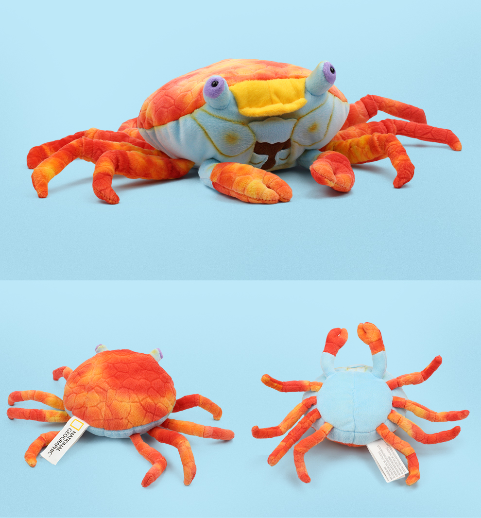 国家地理ng毛绒玩具红石蟹仿真动物玩偶小螃蟹七夕礼物布娃娃生日礼物