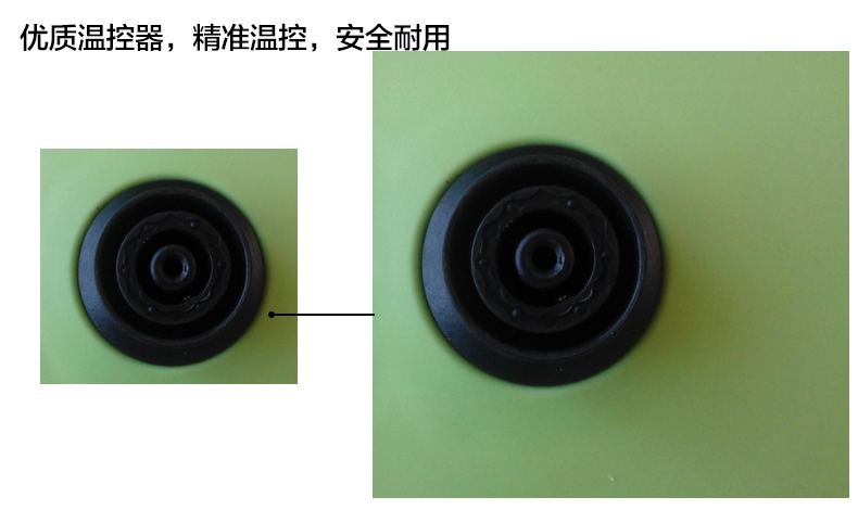 哥尔多功能电热锅 电煮锅电热杯 迷你小电锅学生煮面锅家用电火锅 绿色(单层)