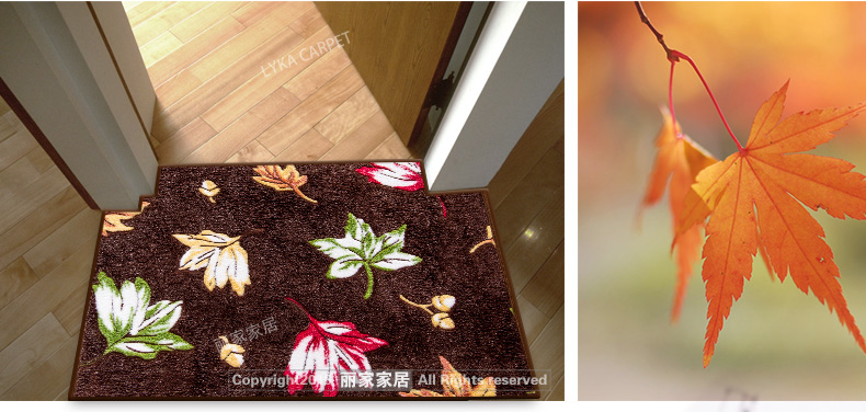 
                                        丽家家居 礼品门垫浴室垫子进门脚垫防滑地垫 花色随机 尺寸随机 小石头咖啡 花色、尺寸都随机(一般为40*60cm左右)                