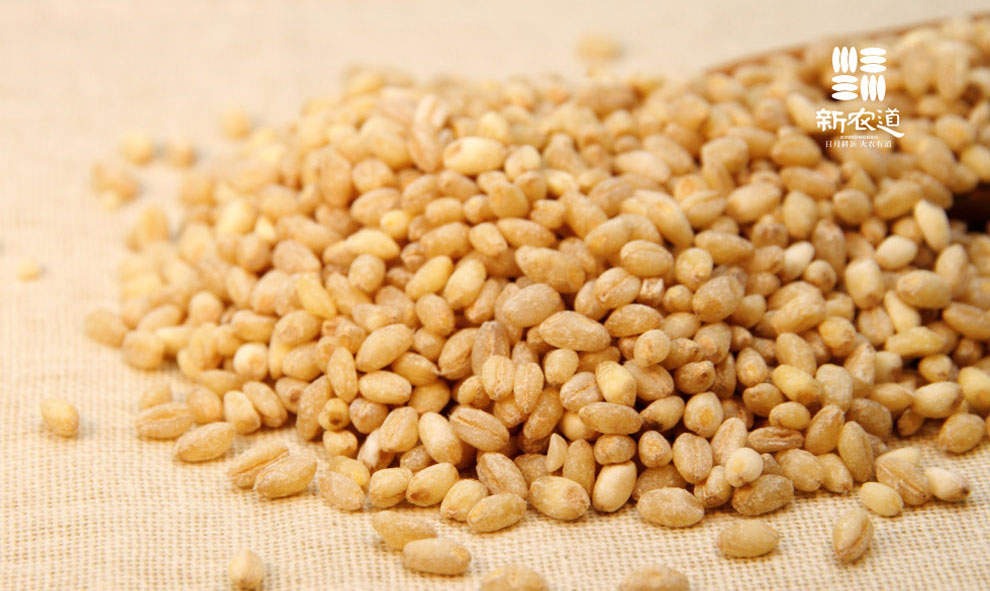 小麦仁的功效与作用_微博生活网