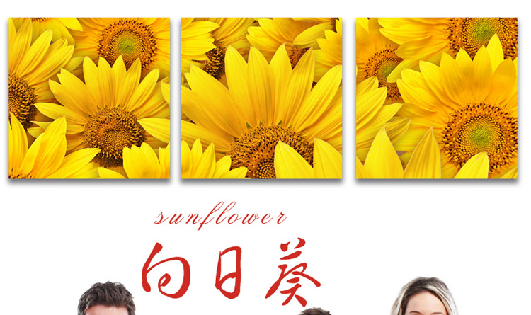 客厅现代简约装饰画卧室装饰画挂画壁画三联无框画餐厅玄关沙发背景墙装饰画 S58向日葵 70*70
