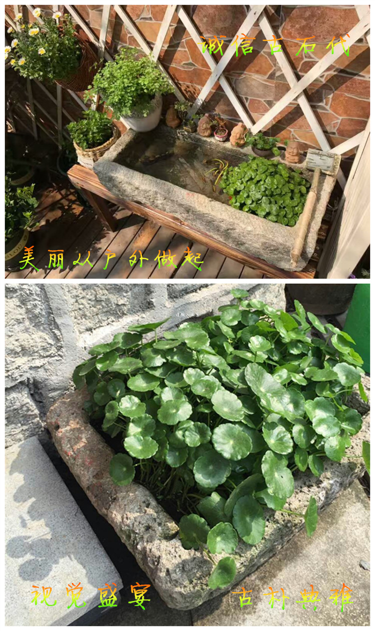雷箭(leijian) 石槽养鱼种花青石牛槽水槽民间石槽石
