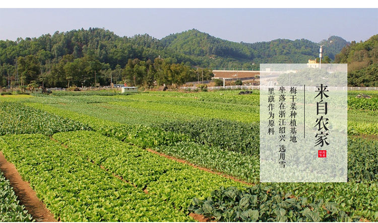绍兴梅干菜农家自制霉干菜