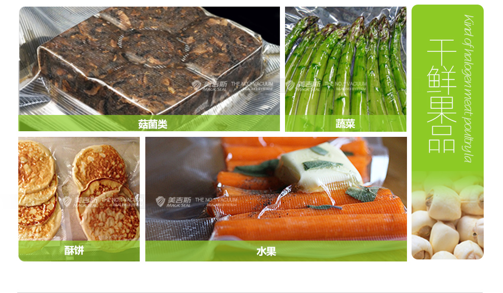 
                                                                                美吉斯（MAGIC SEAL） 真空包装机塑封口机食品保鲜机茶叶家用小型抽真空机塑封机                