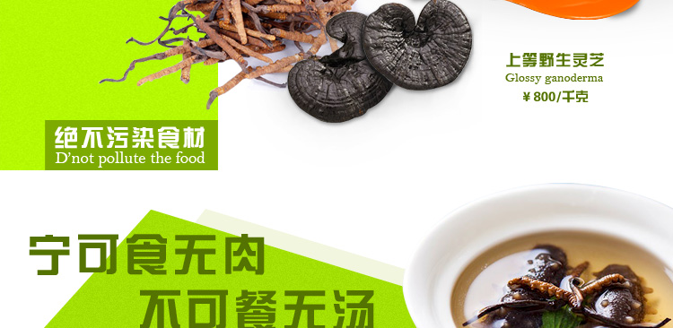 德朗DELAN玻璃慢炖锅电炖锅煲汤煲盅煮粥煮药养生汤煲 MD01